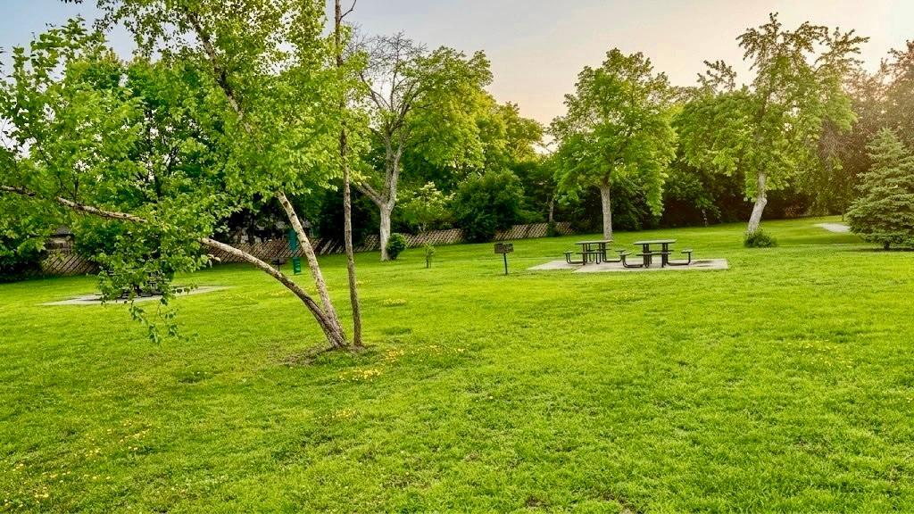Open Yard/Green Space Open grassy lot with lush landscaping and a lone tree centerpiece serene, open, and beautifully maintained.