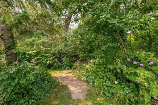 09-W 7th Street-14Trail to creek.jpg