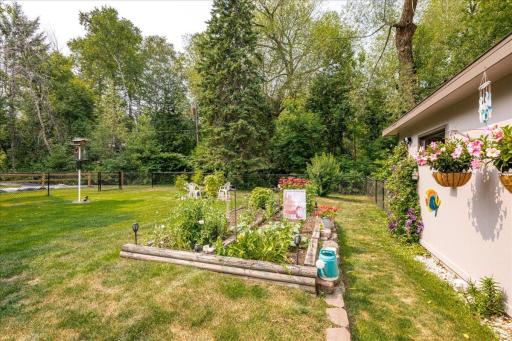03-W 7th Street-8back yard.jpg