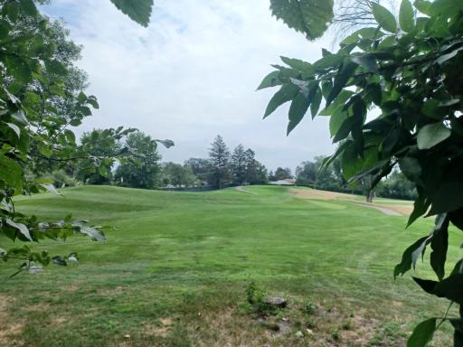 Overlooks the Prestigious Minneapolis Golf Club. 18 holes.