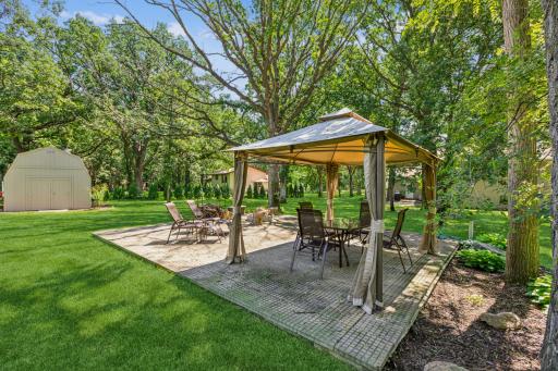 Large backyard