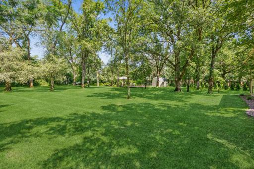 Large backyard