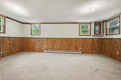Lower level family room