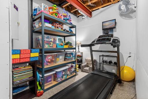 Bonus space in the lower level for storage, hobby room or flex space