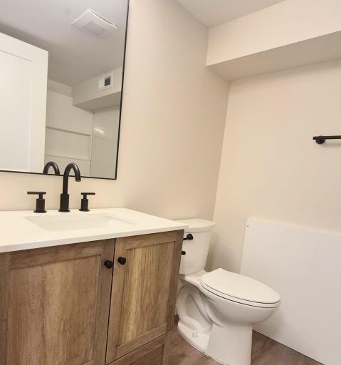 Brand New Lower Bathroom