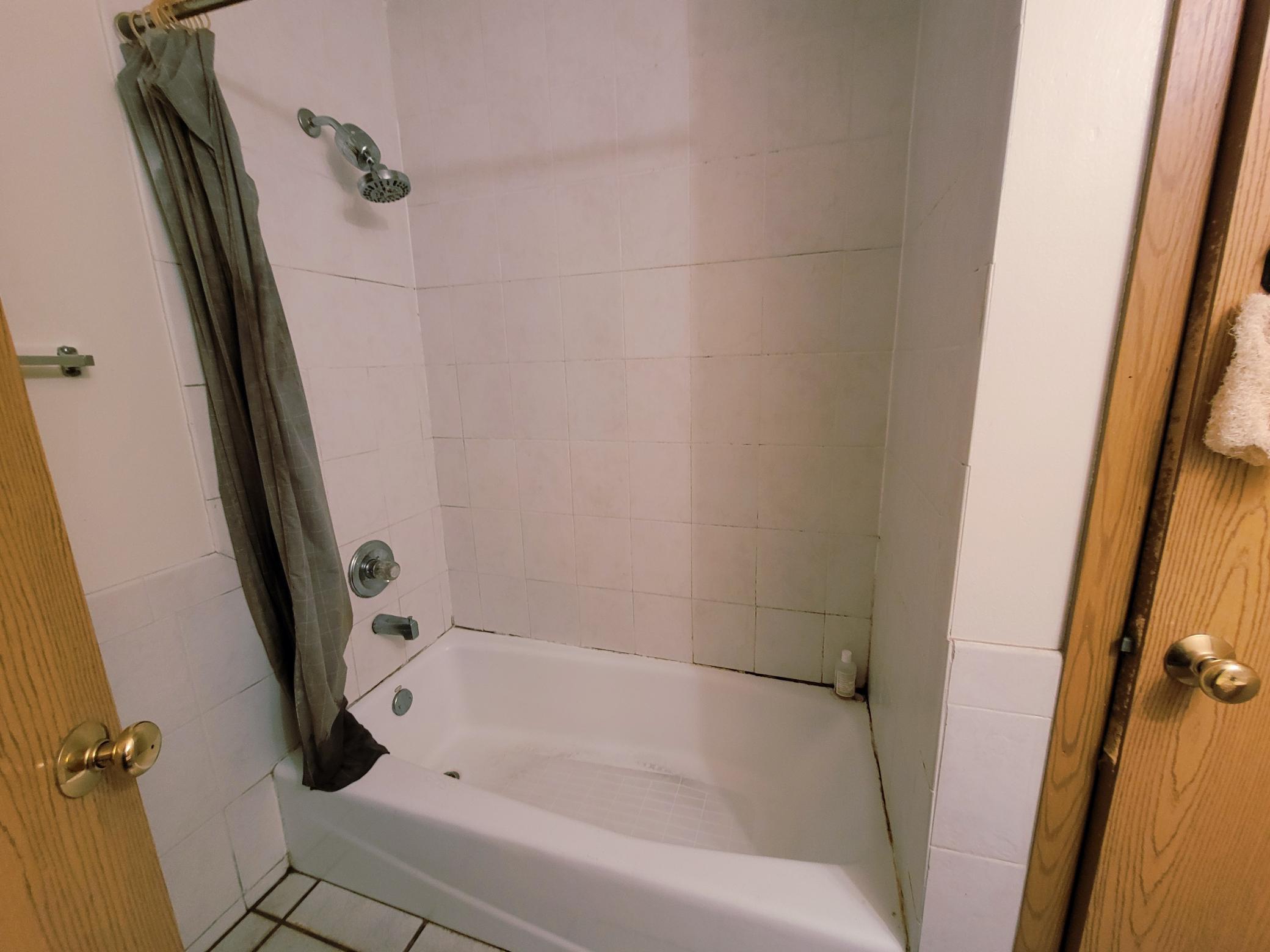 Unrenovated Unit - 4 bed, 2 bath