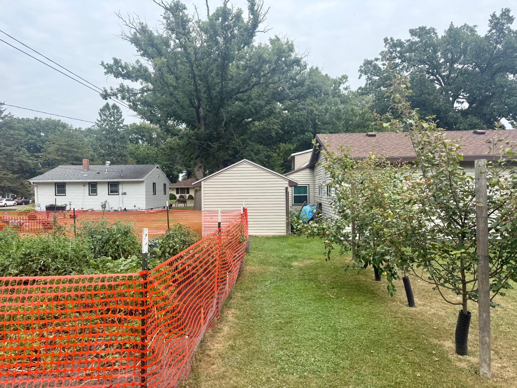 3-Backyard with garden apple trees and shed.jpeg