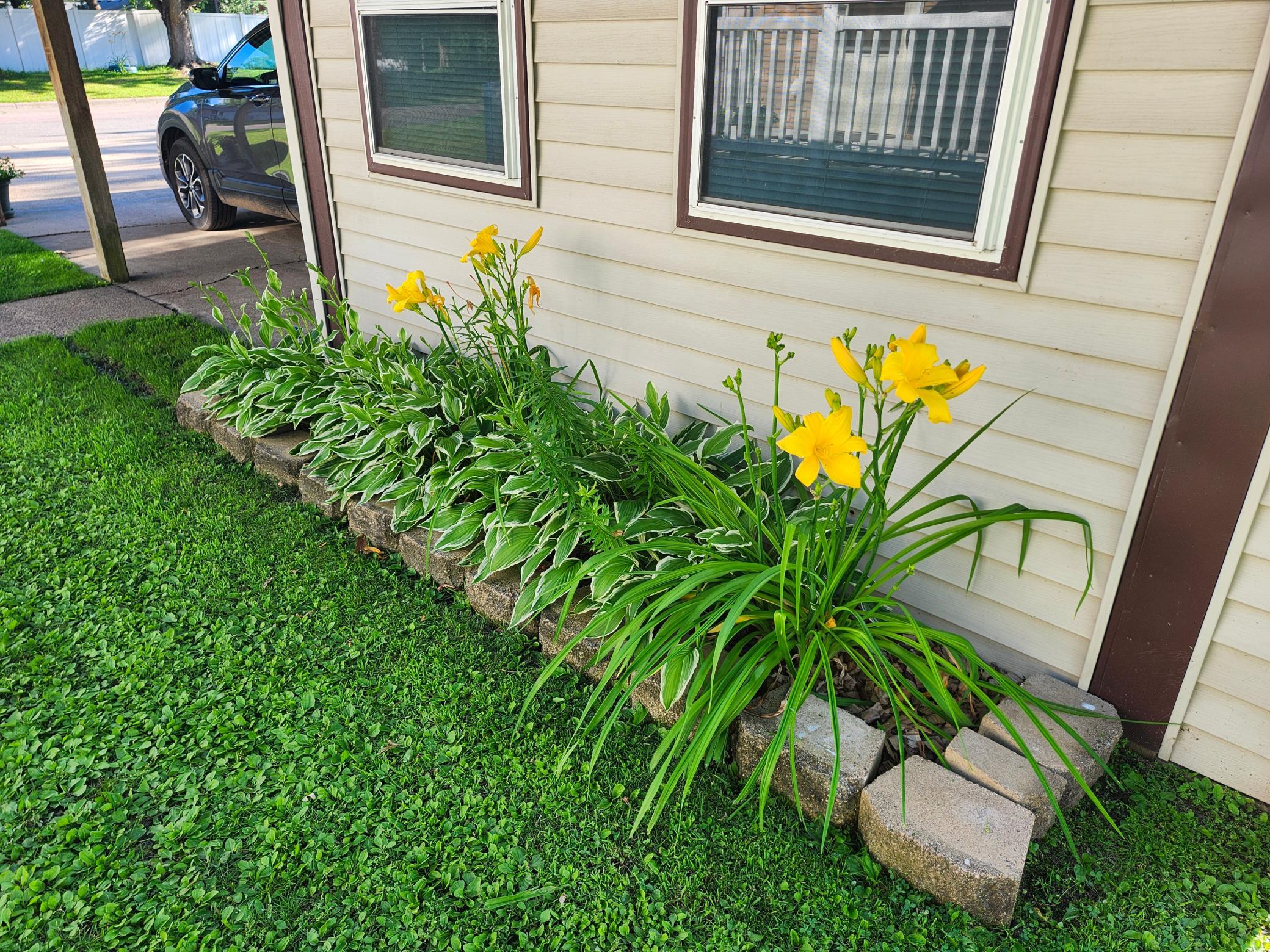 6-Landscaping and flowers to enjoy.jpg