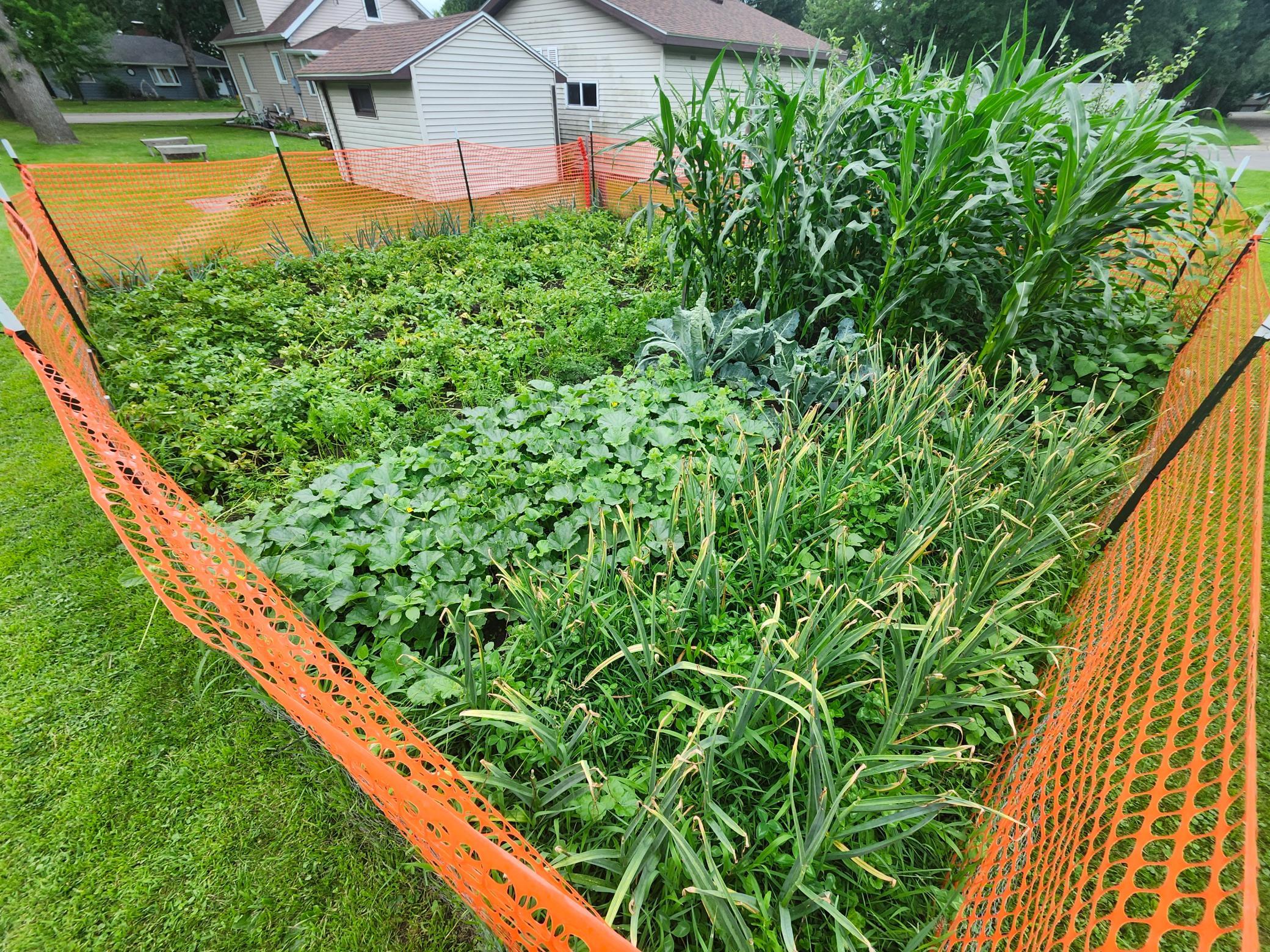 Maslowski Garden 2.jpg