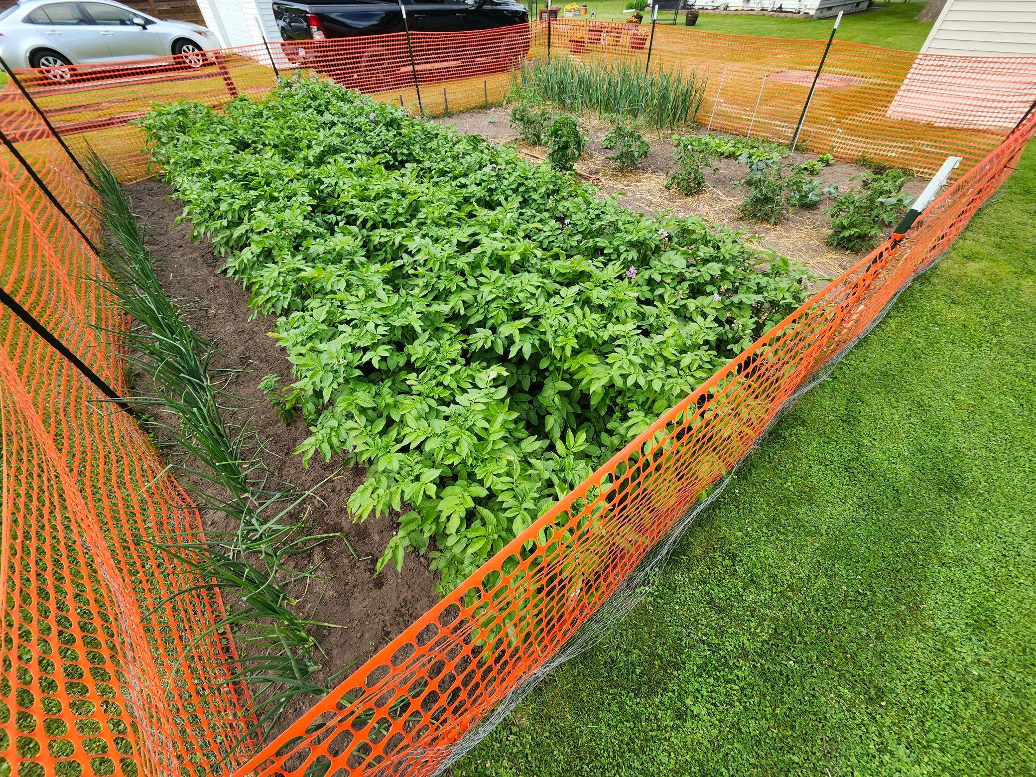 Maslowski Garden 3.jpg