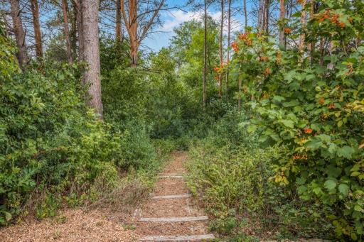 Fun path from the side yard - runs through property (popular 4-wheeler or walking path)