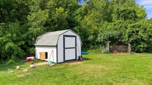 Shed in Backyard
