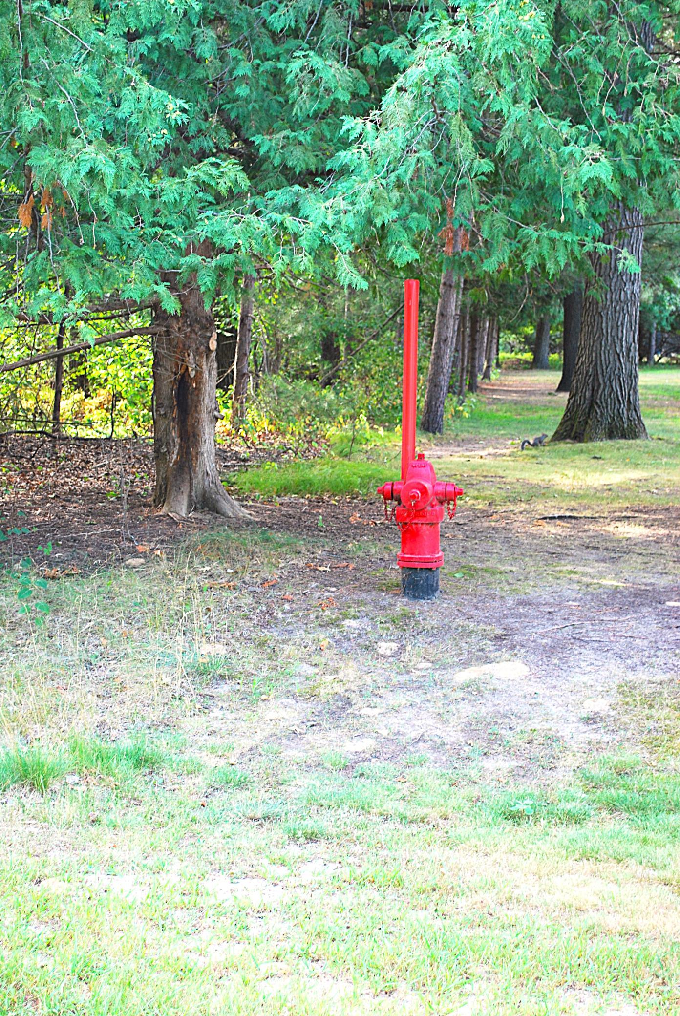 The fire hydrant and tree line are the west property line.