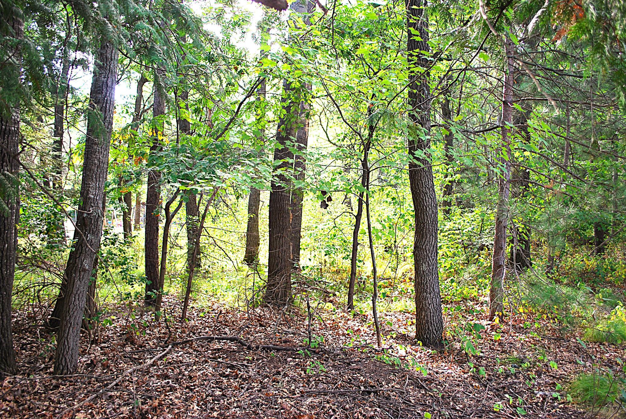 Level lot and wooded.