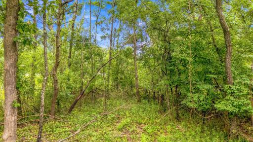 tbd Upper 22nd St S, Lakeland, MN 55043
