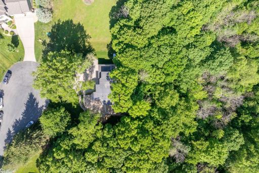 67-web-or-mls-317-meadow-woods-dr.jpg