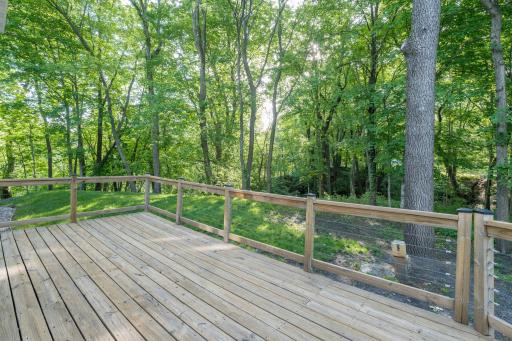 62-web-or-mls-317-meadow-woods-dr.jpg