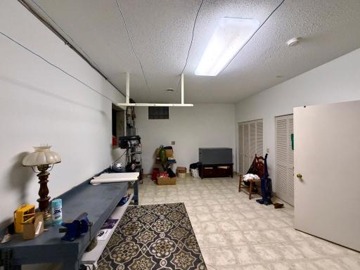 Lower Level.jpeg