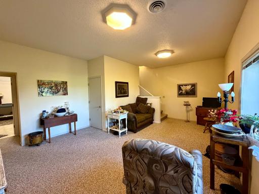 Lower Level Family Room.jpeg
