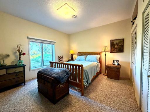 Lower Level Bedroom 3.jpeg
