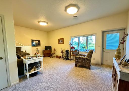 Lower Level Family Room.jpeg