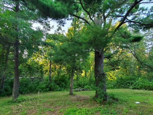side yard