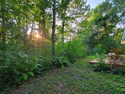 rear yard