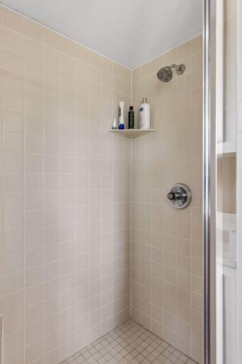 Primary separate shower