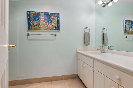 Lower level bathroom