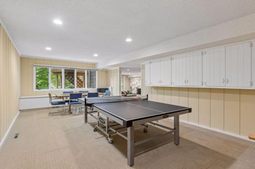 Lower level game room