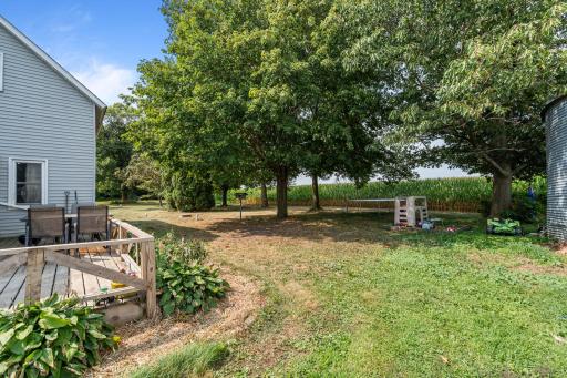 Back porch, spacious yard