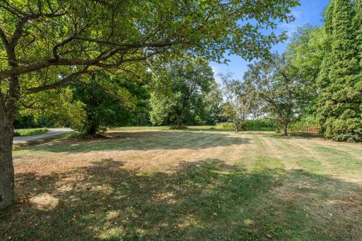 Beautiful, spacious yard with mature trees