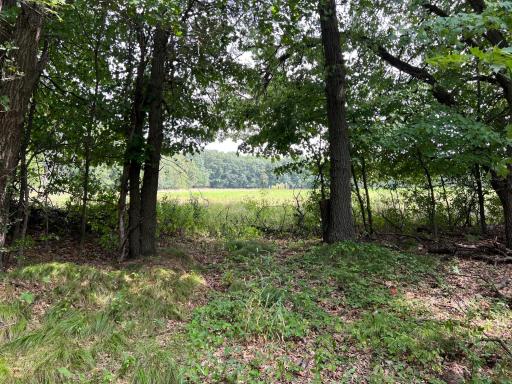 XXXX Elmcrest Avenue, Stacy, MN 55079