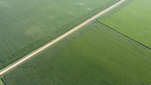 DJI_0386.JPG
