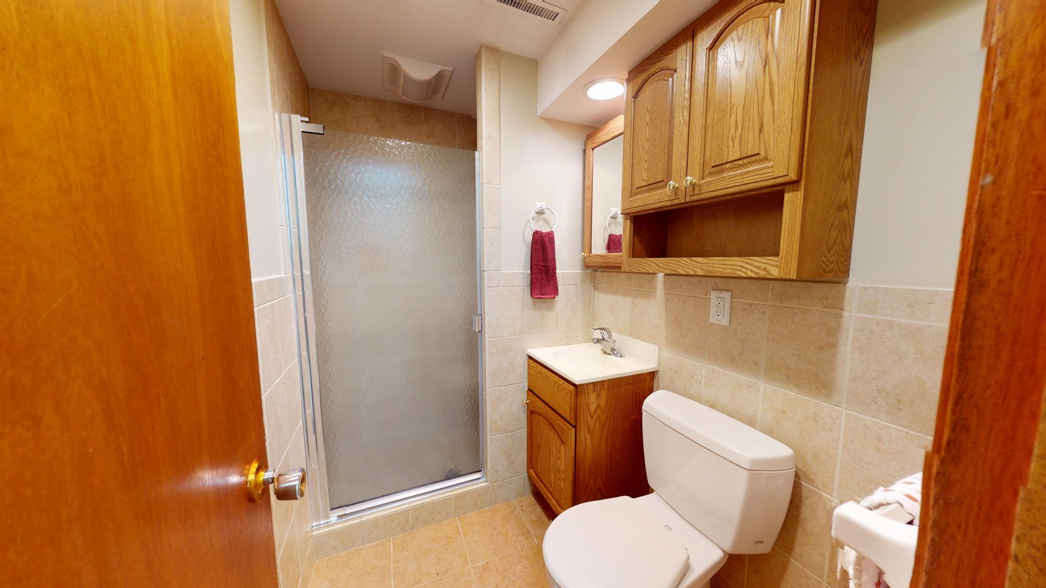 Lower level bathroom