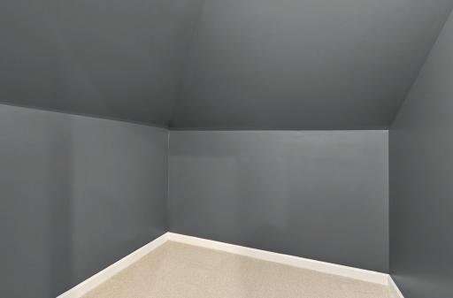 Large walk-in closet and an additional storage space.