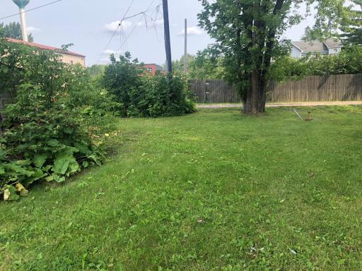 Yard.jpg