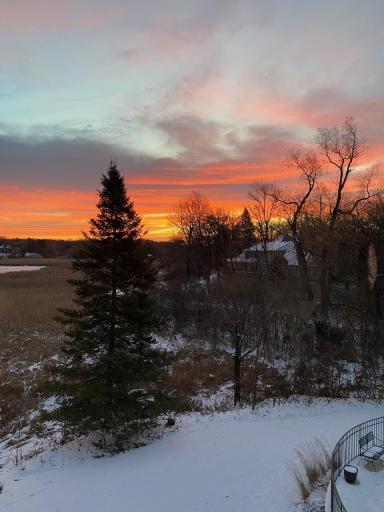 A peaceful winter landscape framed by mature trees.