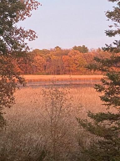 The property’s mature trees put on a spectacular display as the seasons change, surrounding the grounds in rich autumn color.