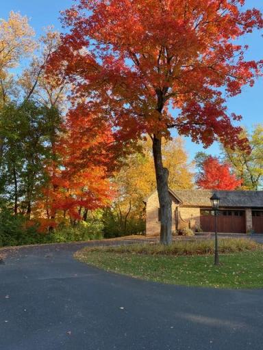 The property’s mature trees put on a spectacular display as the seasons change, surrounding the grounds in rich autumn color.