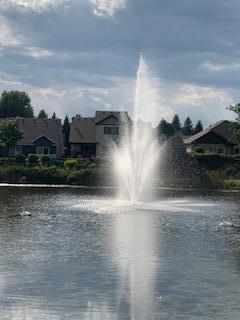 Entertaining Fountain