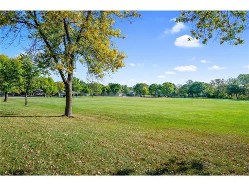 7205 park.jpg