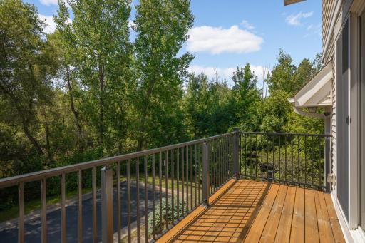 Private deck overlooking woods/wetlands