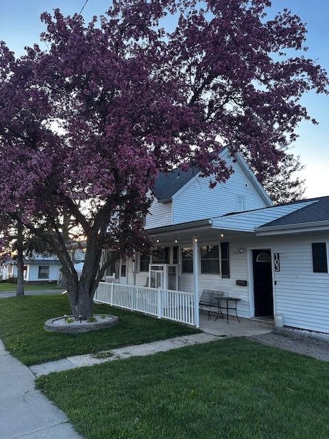 spring blossoms