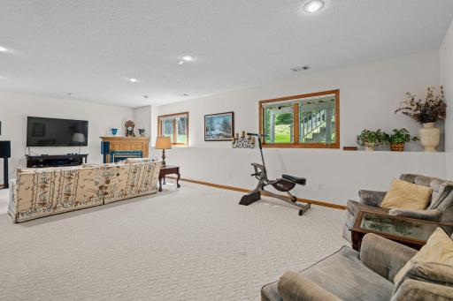 Lower Level Family or Rec Room.jpg