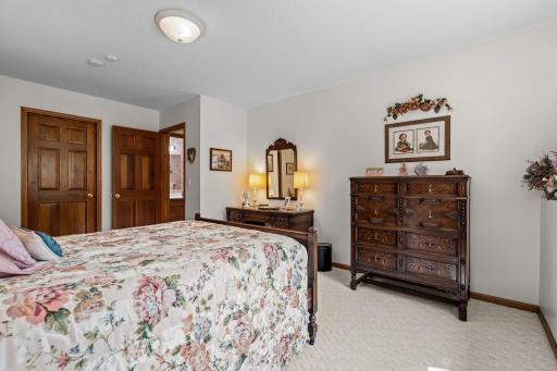 Lower Level Bedroom with Walk-in Closet.jpg