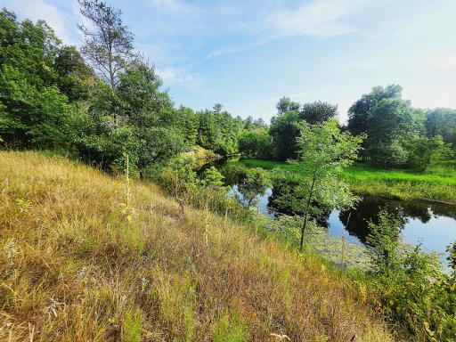 Long Prairie River
