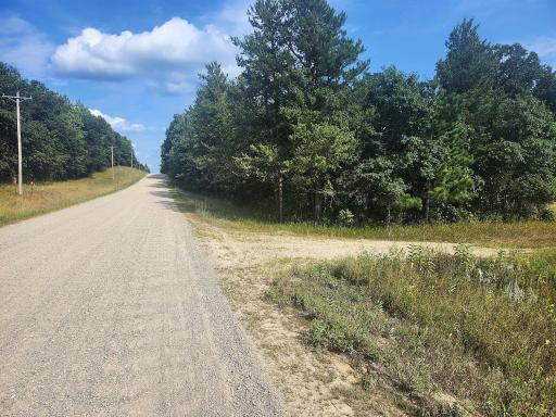 105 Acres of solid Hardwoods
