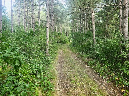 Photo for TBD 400th Street, Browerville, MN 56438 - listing #7127638 TBD 400th Street, Browerville, MN 56438