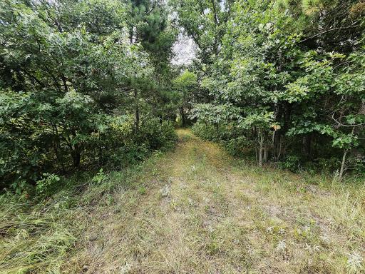 Established Trails